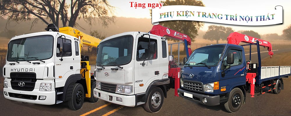 Xe Cẩu Hyundai 4T5 HD78